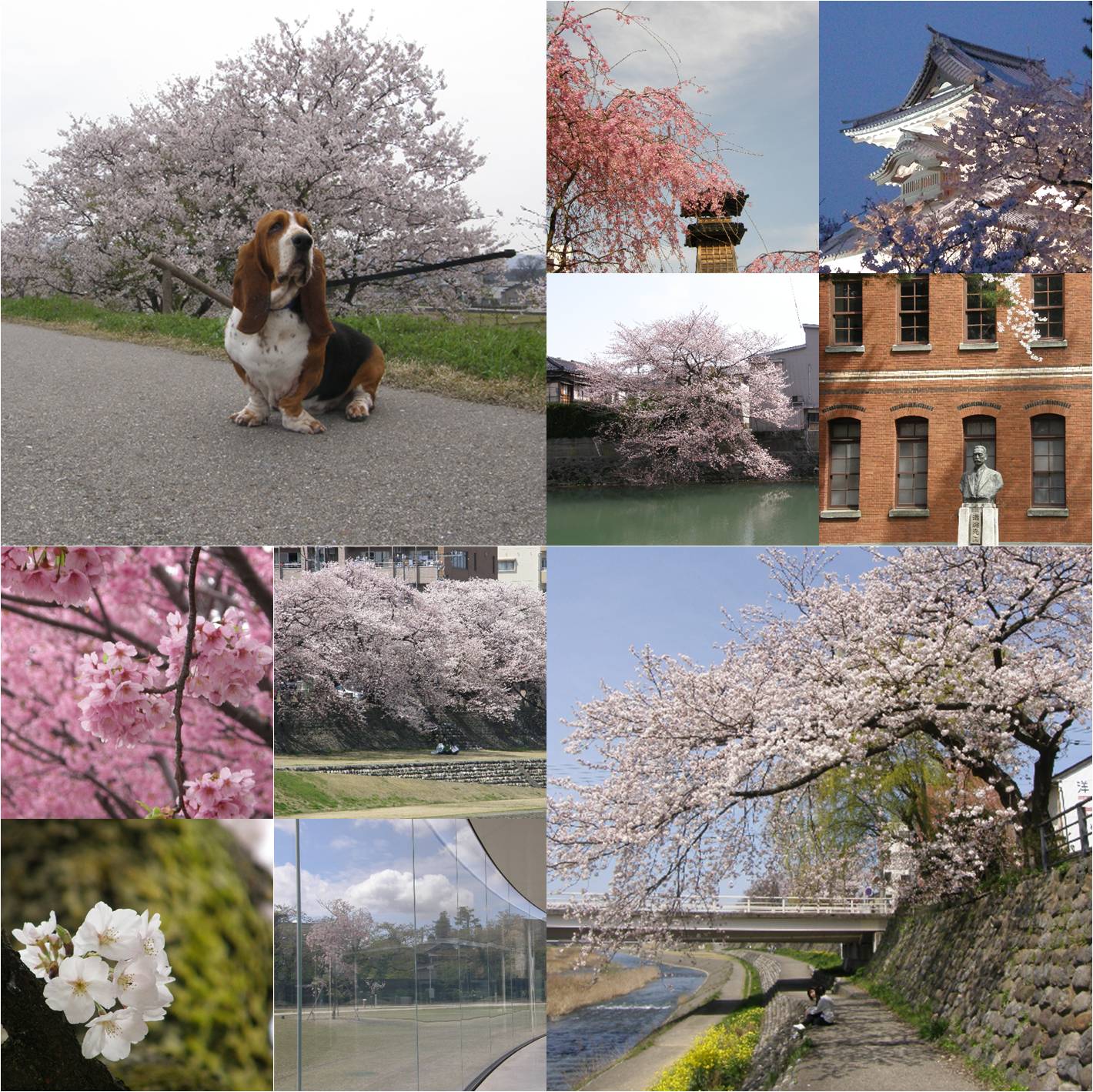 f:id:k10no3:20180102093303j:image:w640