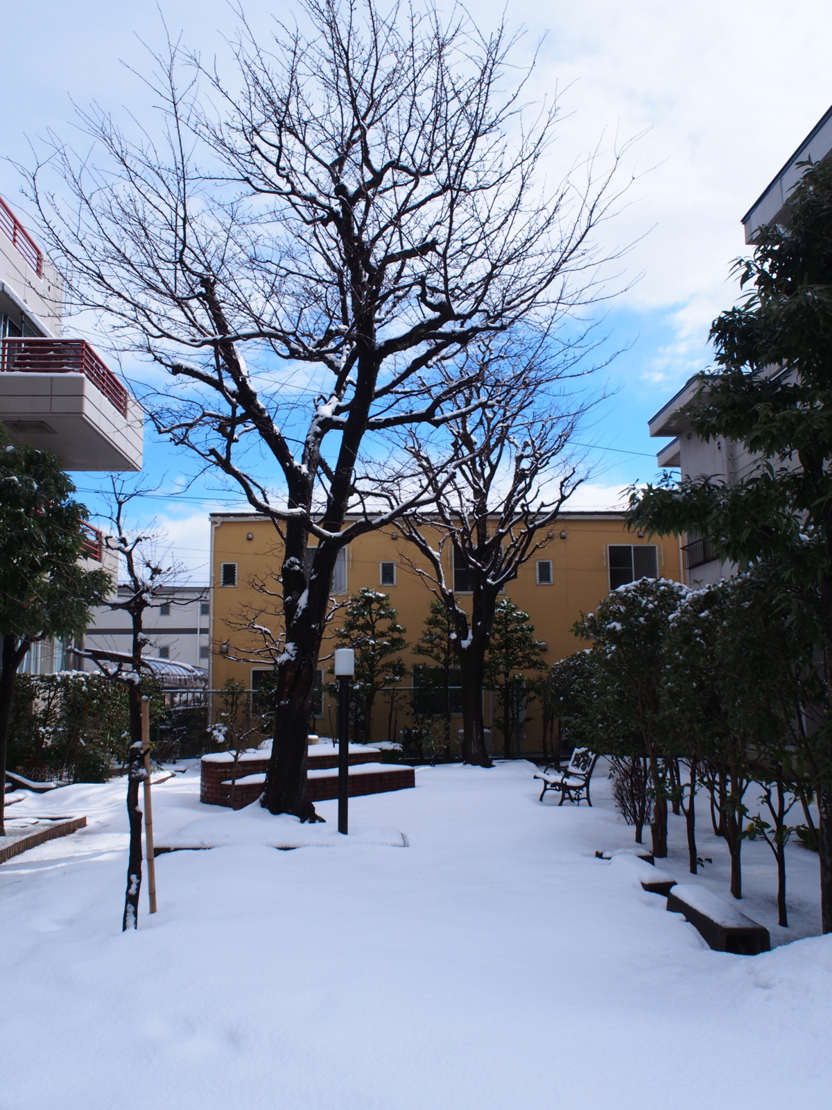 f:id:k10no3:20180204110750j:image:w640