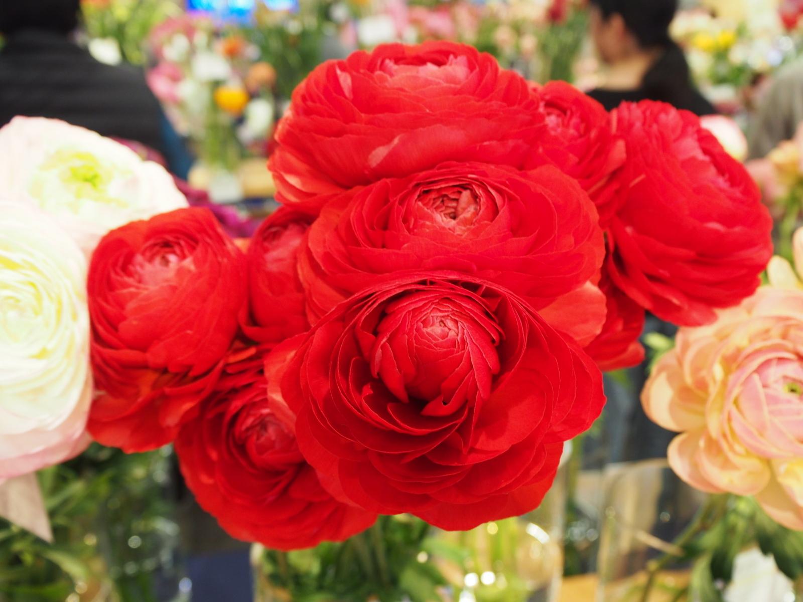 f:id:k10no3:20180304130726j:image:w318 f:id:k10no3:20180304130726j:image:w318