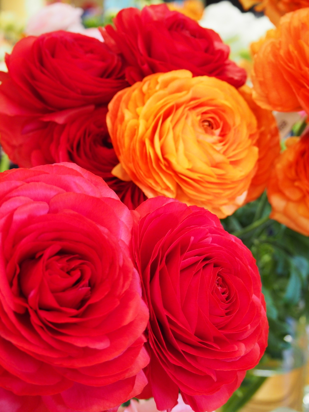 f:id:k10no3:20180304130812j:image:w640 f:id:k10no3:20180304130812j:image:w640