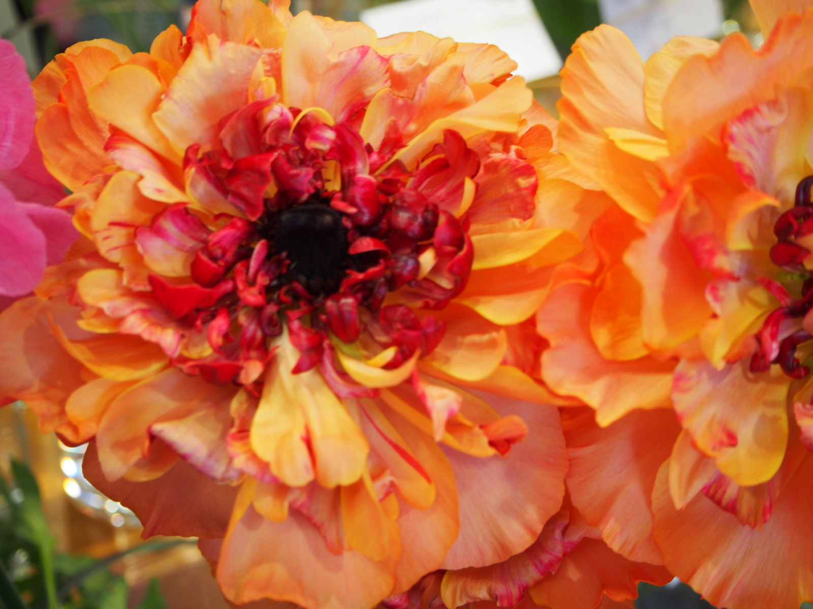 f:id:k10no3:20180304130818j:image:w318 f:id:k10no3:20180304130818j:image:w318