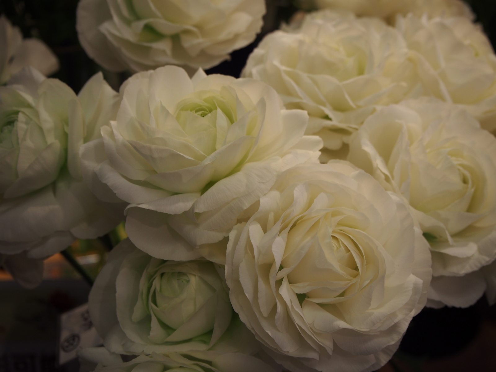 f:id:k10no3:20180304130837j:image:w318 f:id:k10no3:20180304130837j:image:w318