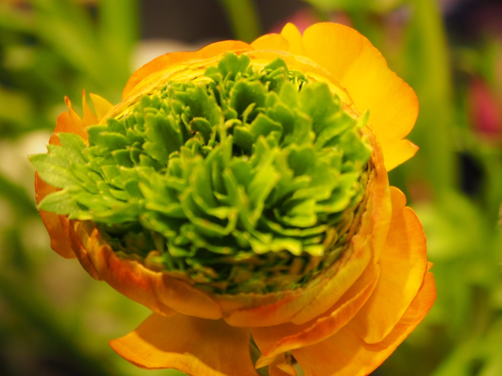 f:id:k10no3:20180304130925j:image:w640 f:id:k10no3:20180304130925j:image:w640