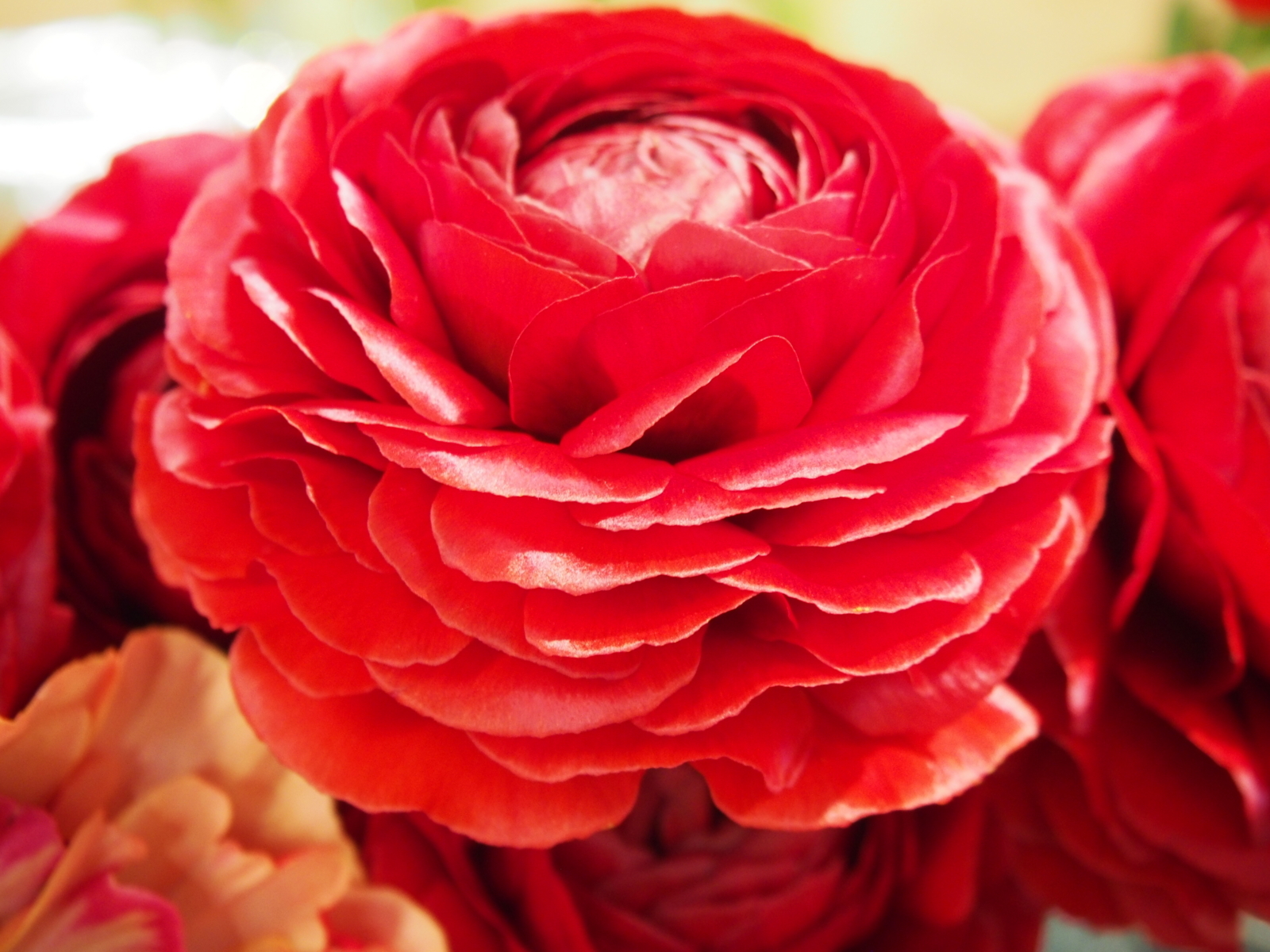 f:id:k10no3:20180304131119j:image:w318