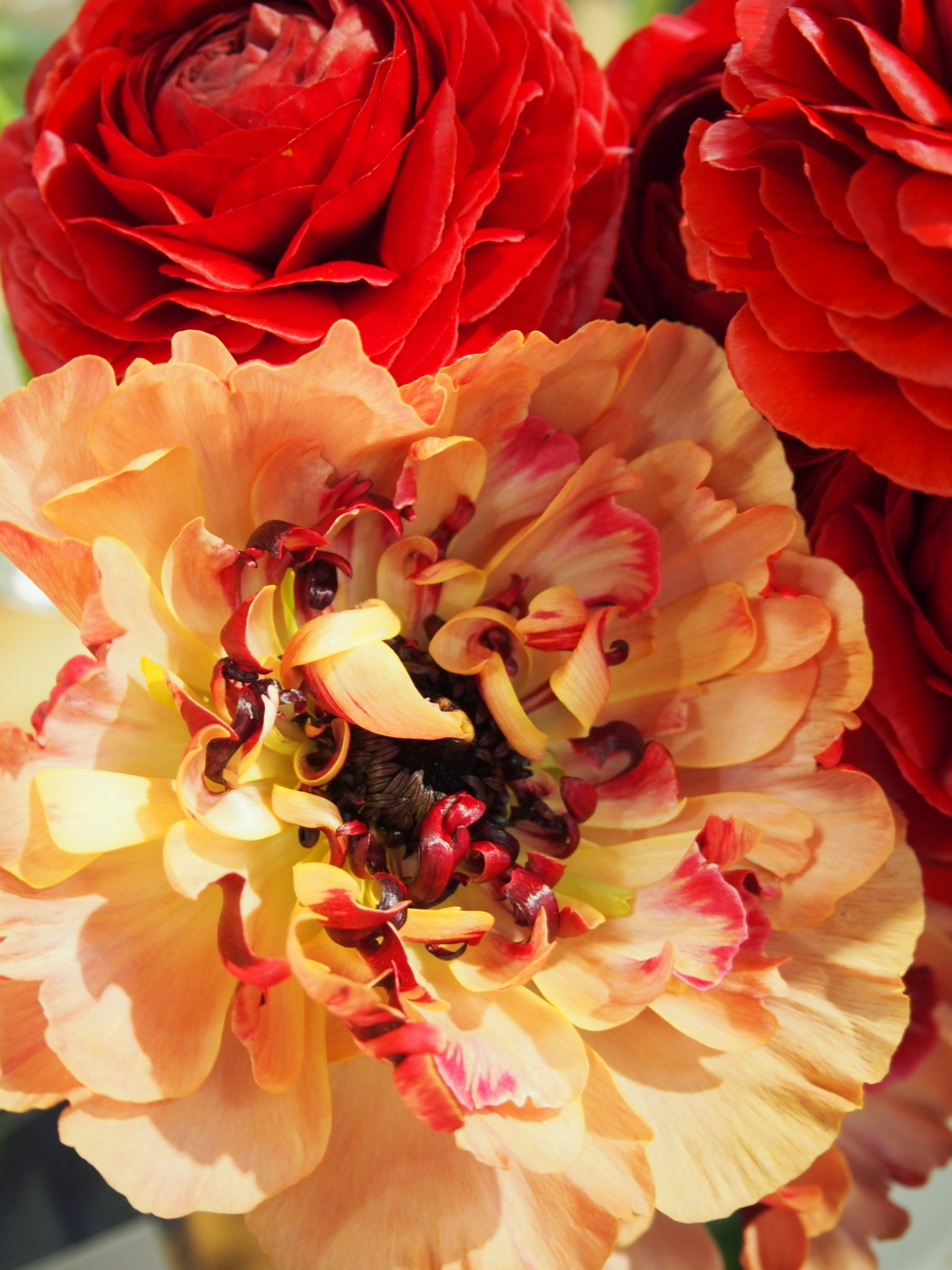 f:id:k10no3:20180304131125j:image:w640