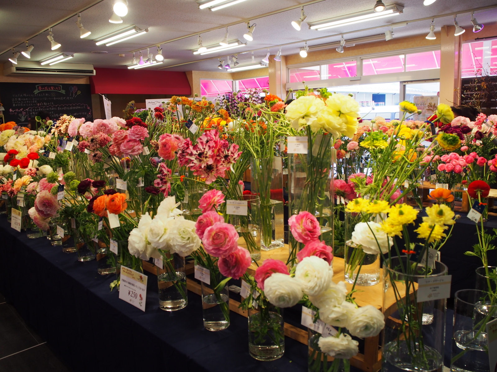 f:id:k10no3:20180304131238j:image:w640