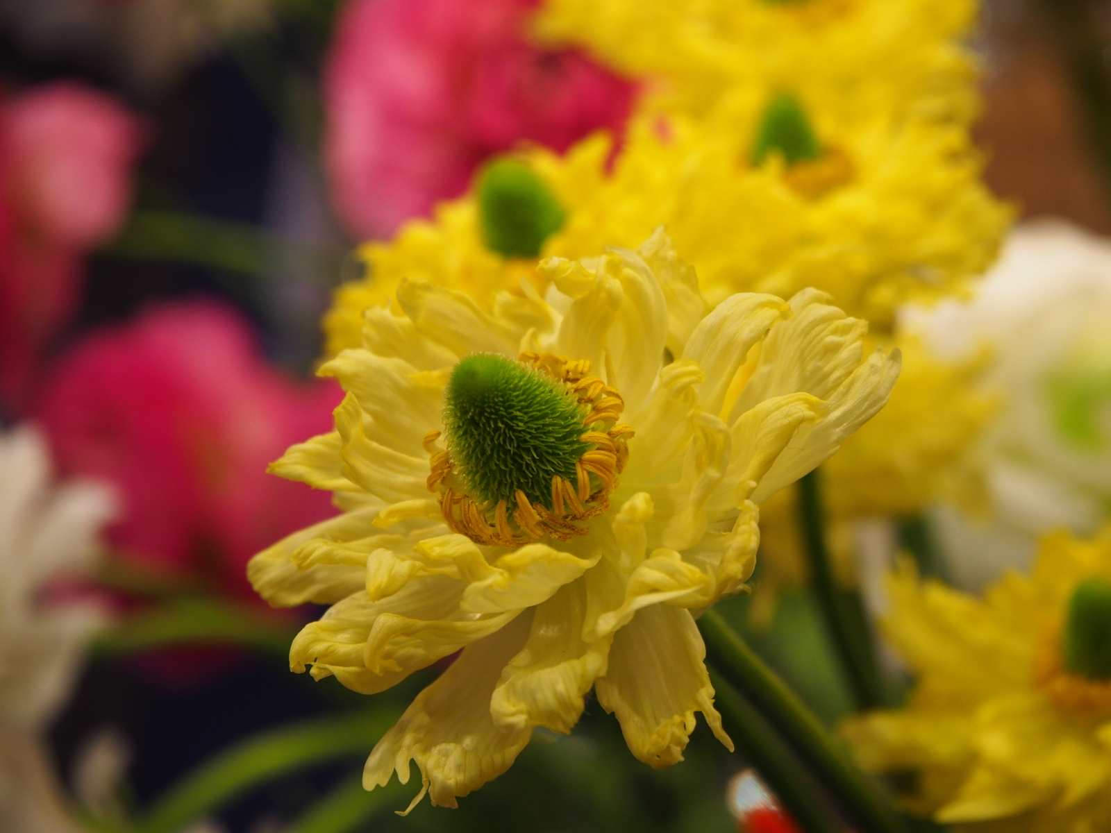 f:id:k10no3:20180304131251j:image:w640