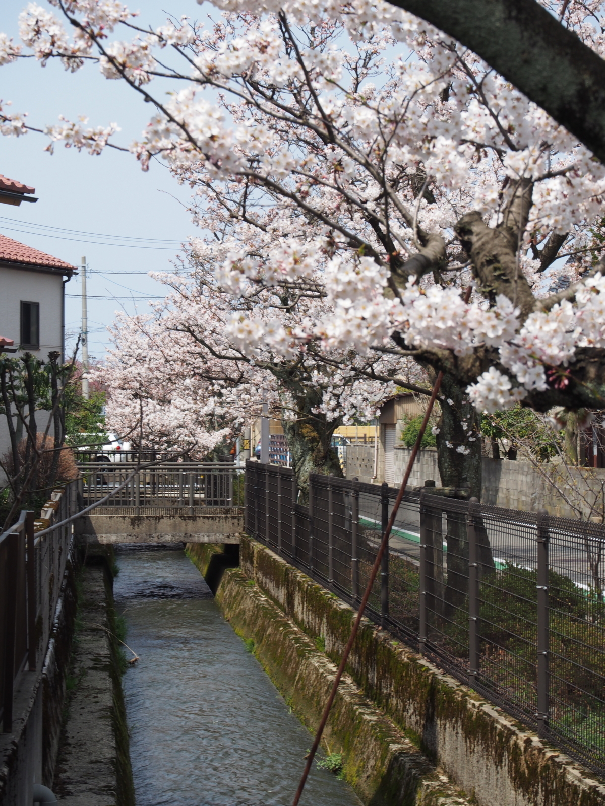 f:id:k10no3:20180401122011j:image:w318