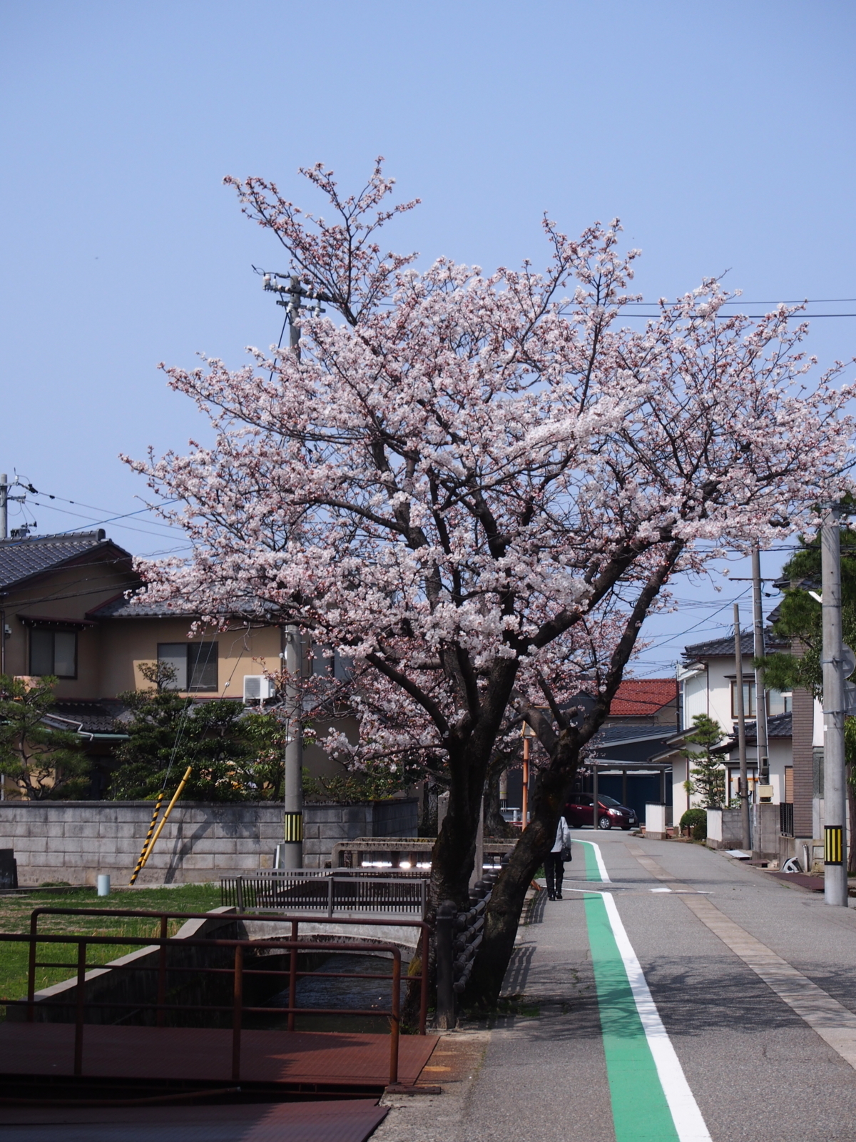 f:id:k10no3:20180401123419j:image:w318