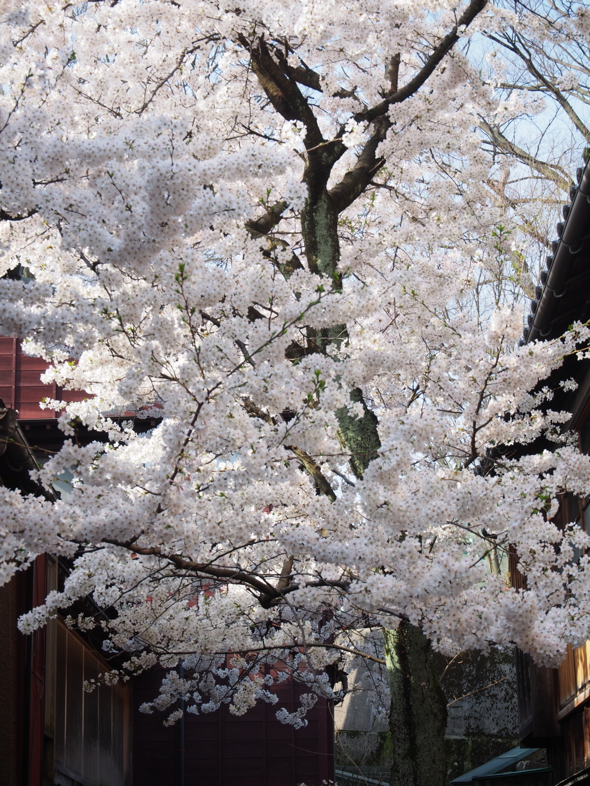f:id:k10no3:20180403082136j:image:w318