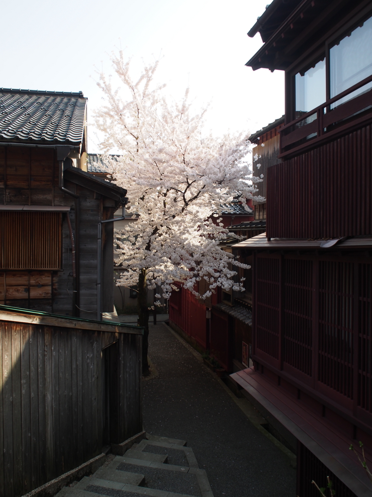 f:id:k10no3:20180403082346j:image:w318