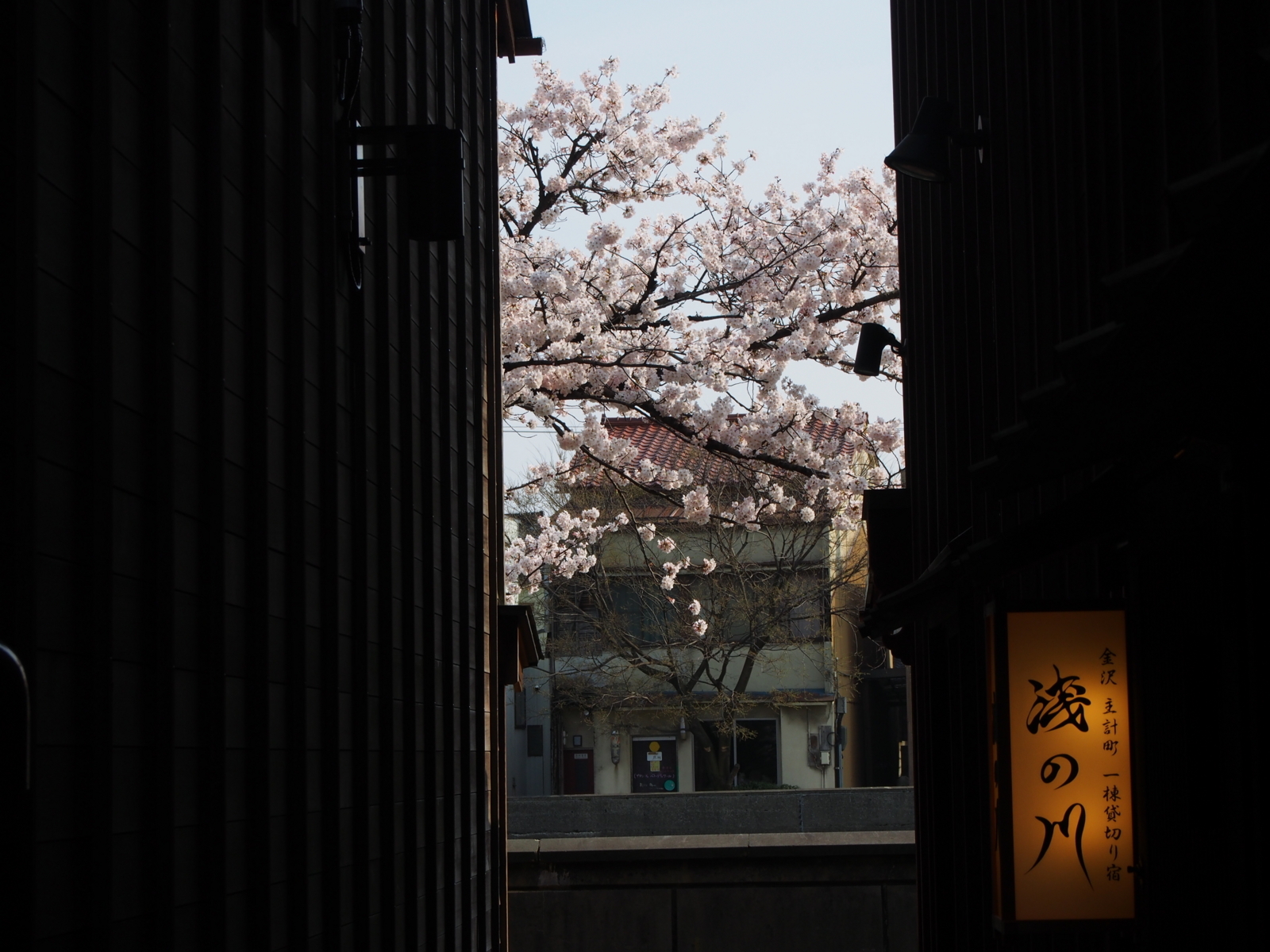f:id:k10no3:20180403083250j:image:w640