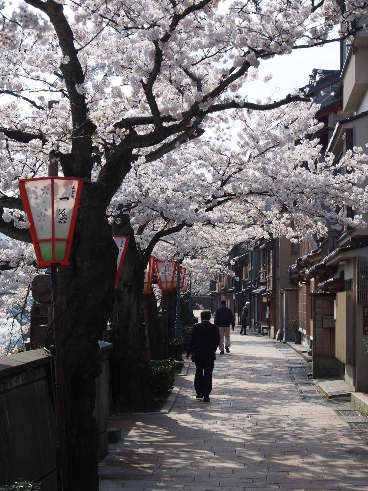 f:id:k10no3:20180403083728j:image:w318