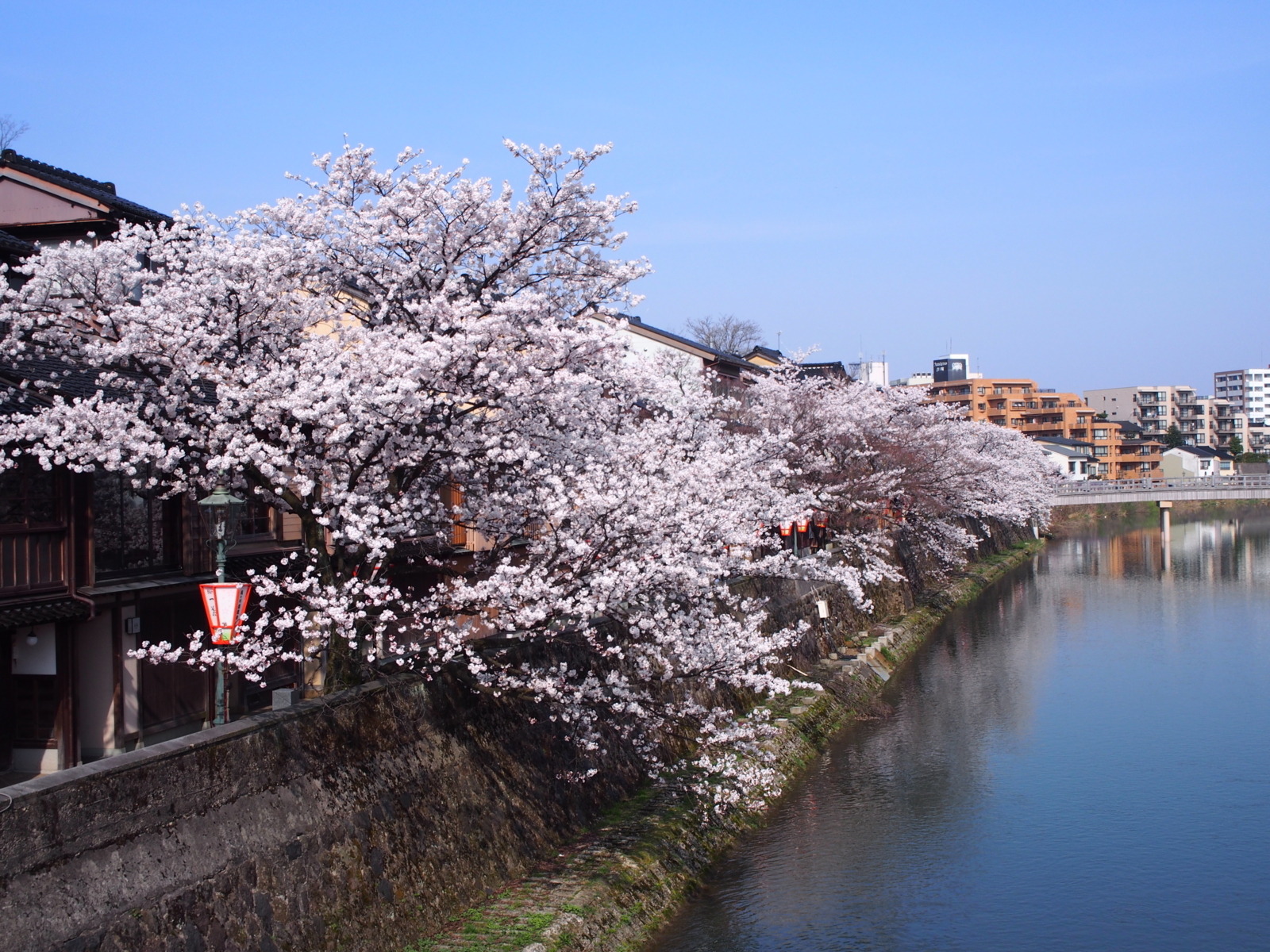 f:id:k10no3:20180403084456j:image:w640