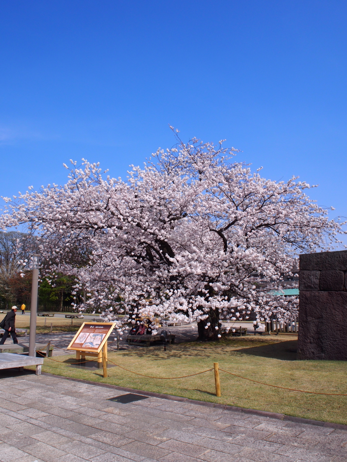f:id:k10no3:20180403092812j:image:w318 f:id:k10no3:20180403092812j:image:w318