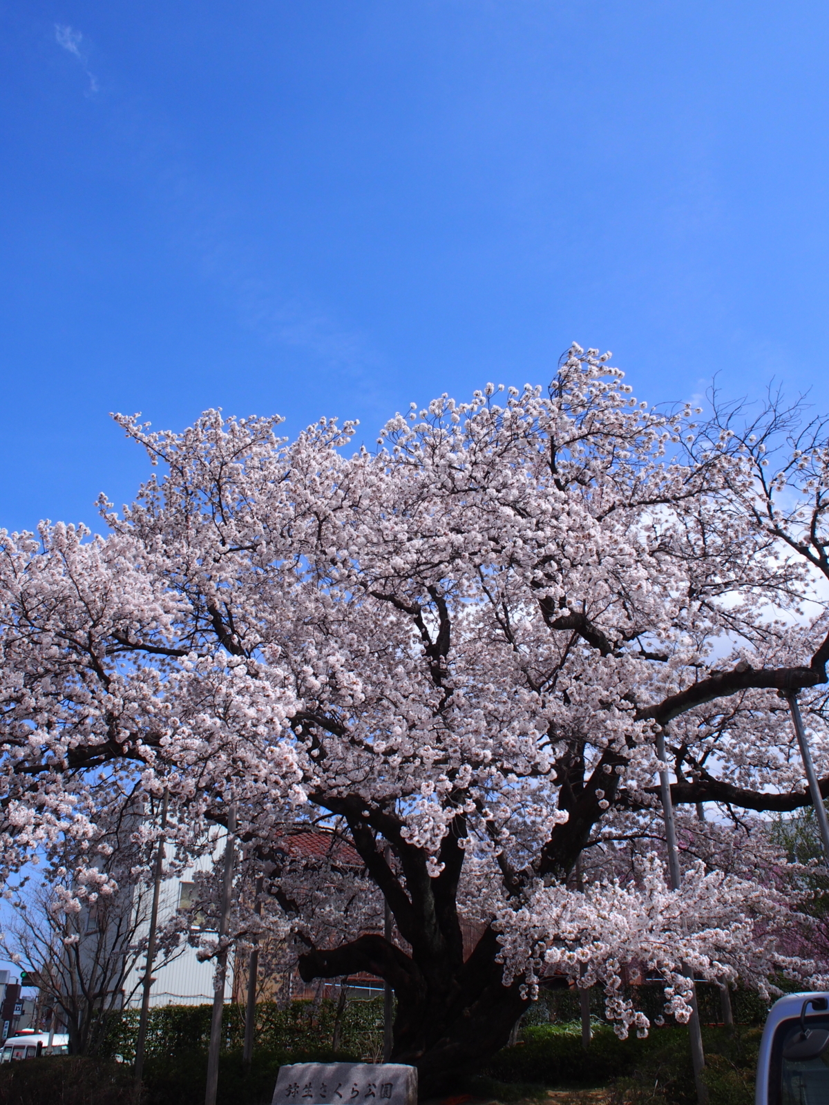 f:id:k10no3:20180403112032j:image:w640 f:id:k10no3:20180403112032j:image:w640