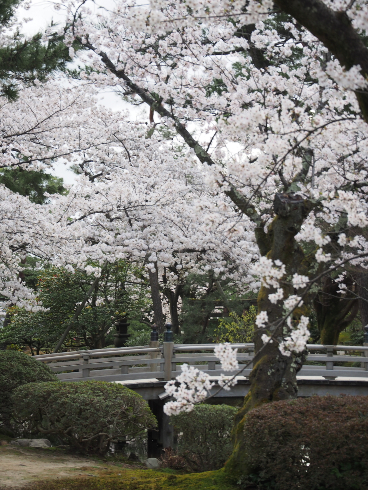 f:id:k10no3:20180404080942j:image:w318 f:id:k10no3:20180404080942j:image:w318