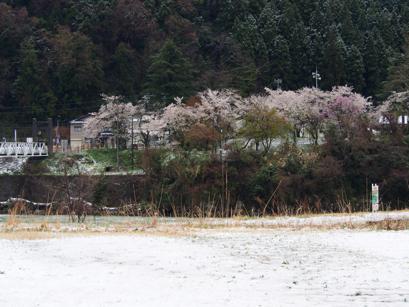 f:id:k10no3:20180408104200j:image:w640