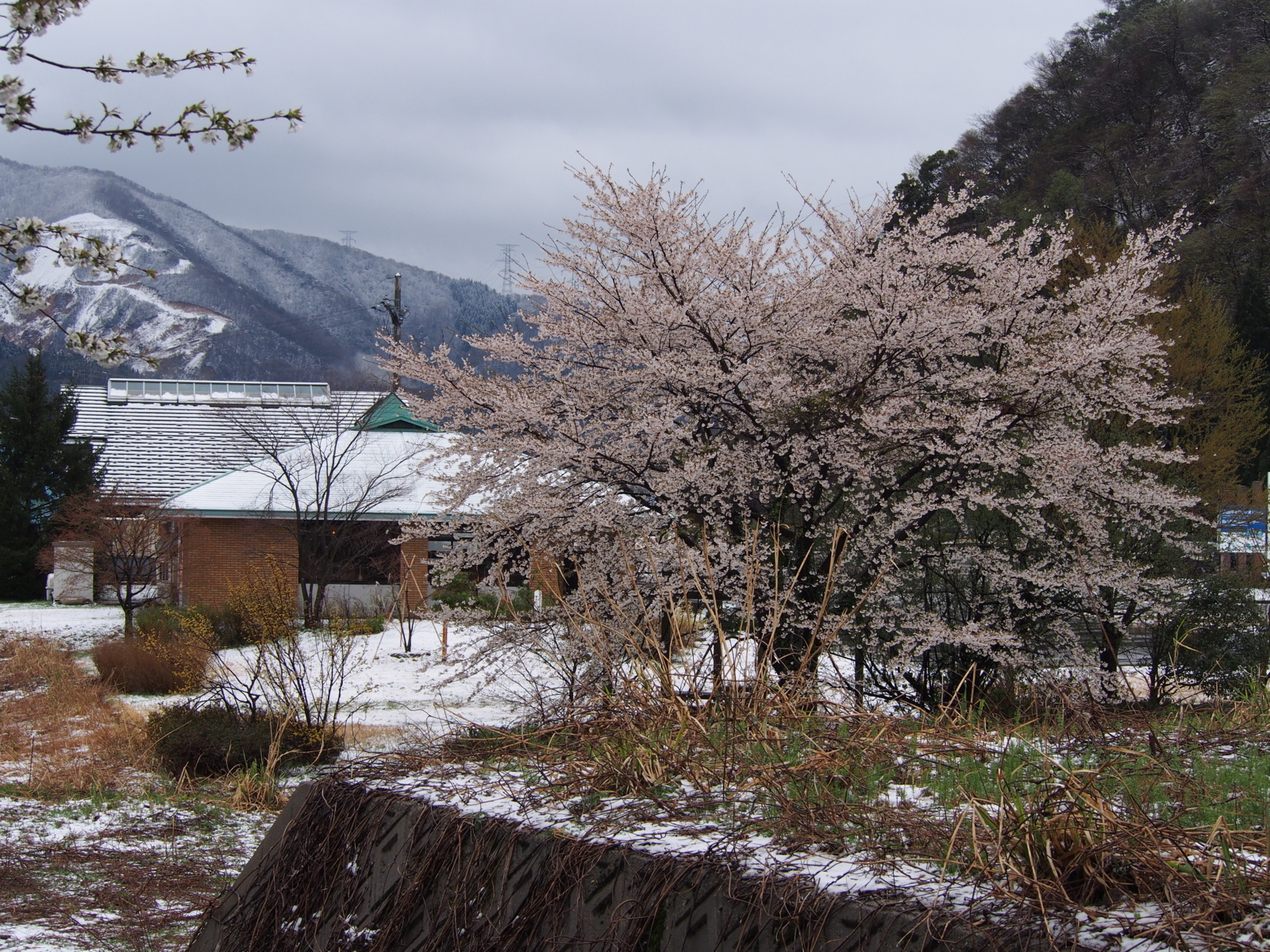 f:id:k10no3:20180408105646j:image:w640