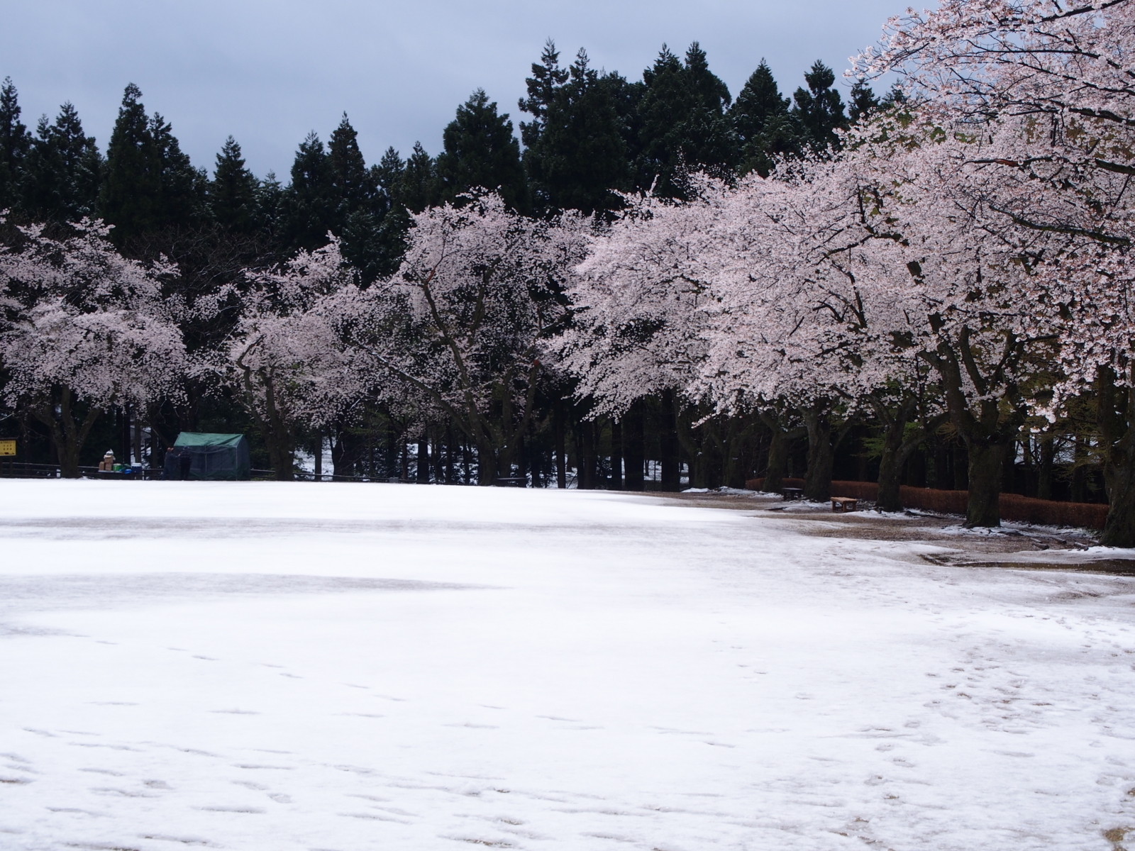 f:id:k10no3:20180408110900j:image:w640