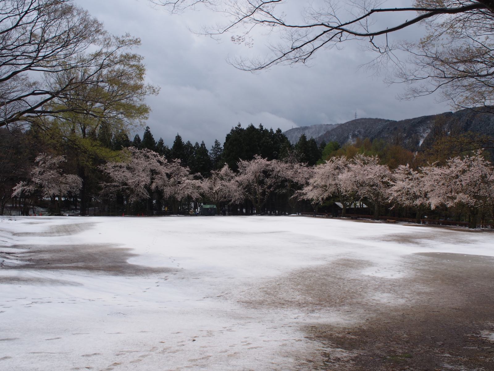 f:id:k10no3:20180408111028j:image:w318
