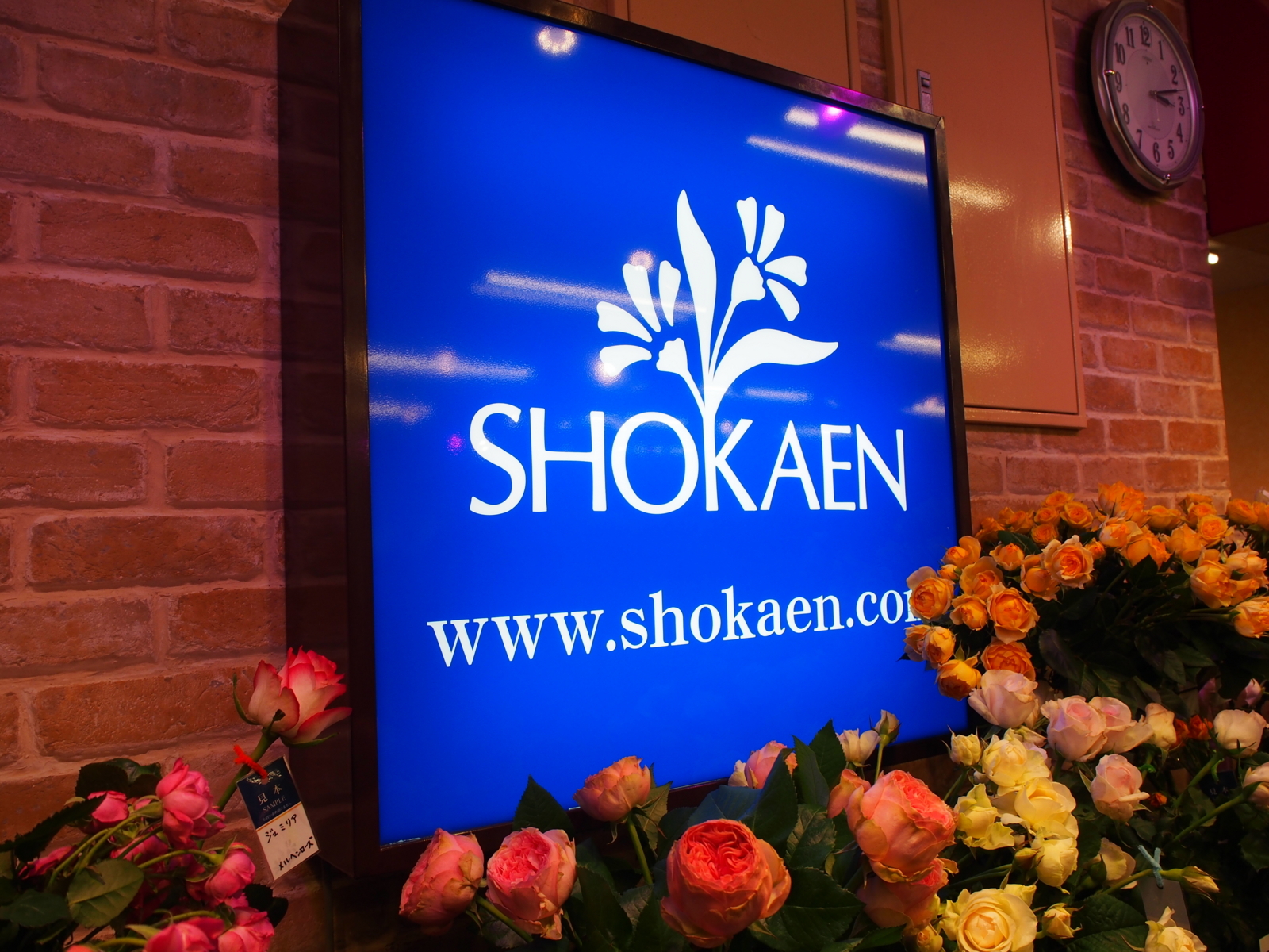 f:id:k10no3:20180414152046j:image:w318