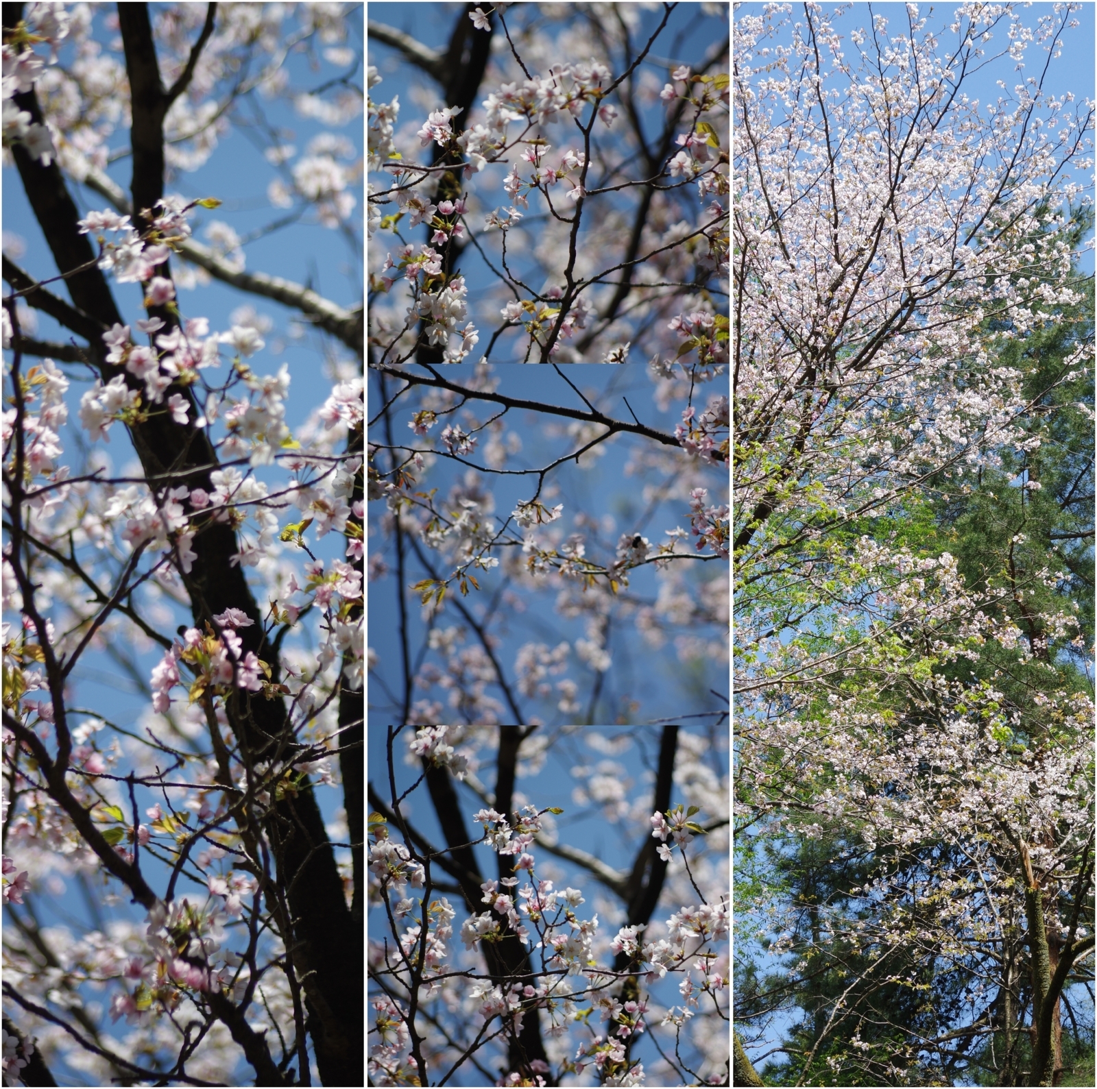 f:id:k10no3:20180421104715j:image:w640 f:id:k10no3:20180421104715j:image:w640