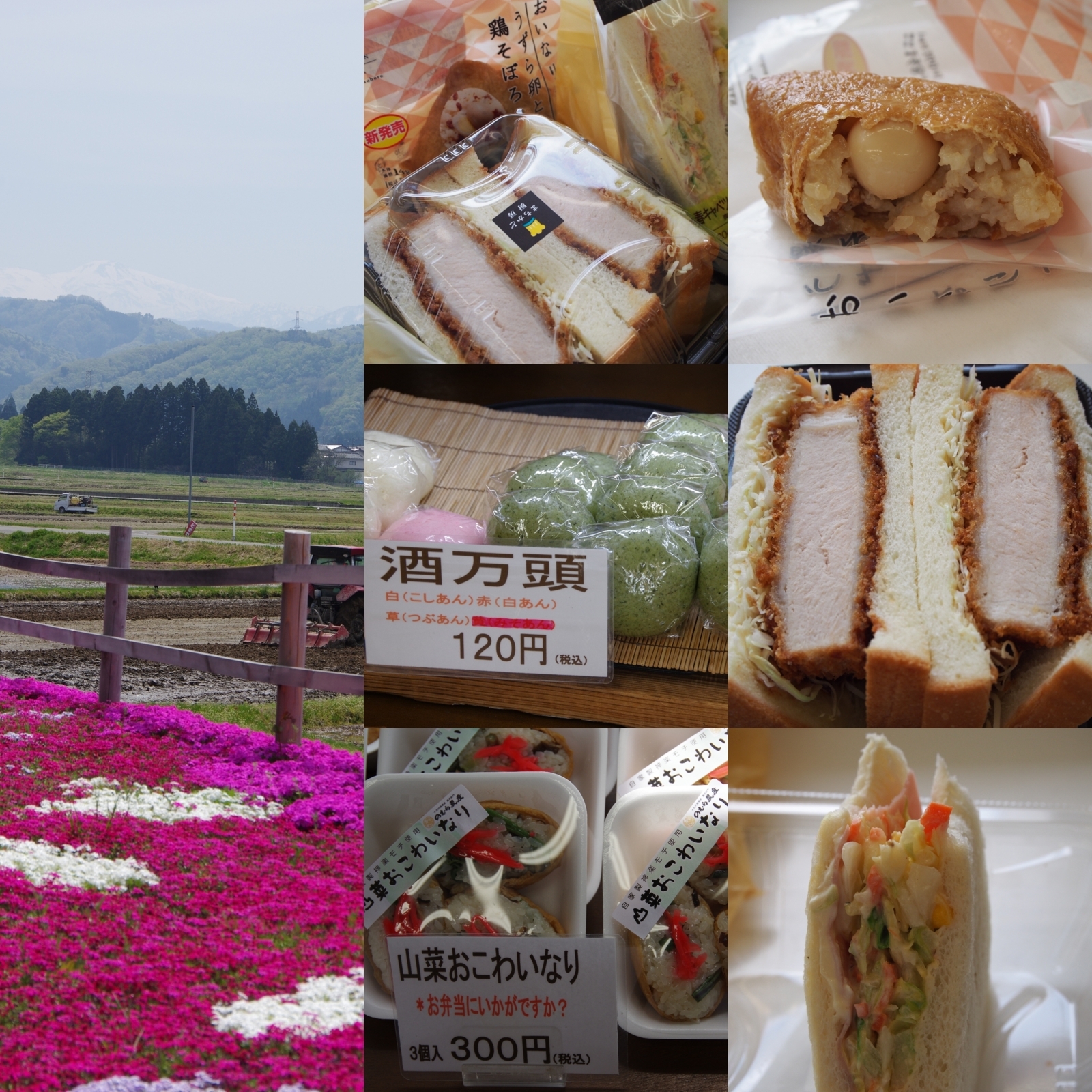 f:id:k10no3:20180422120917j:image:w640
