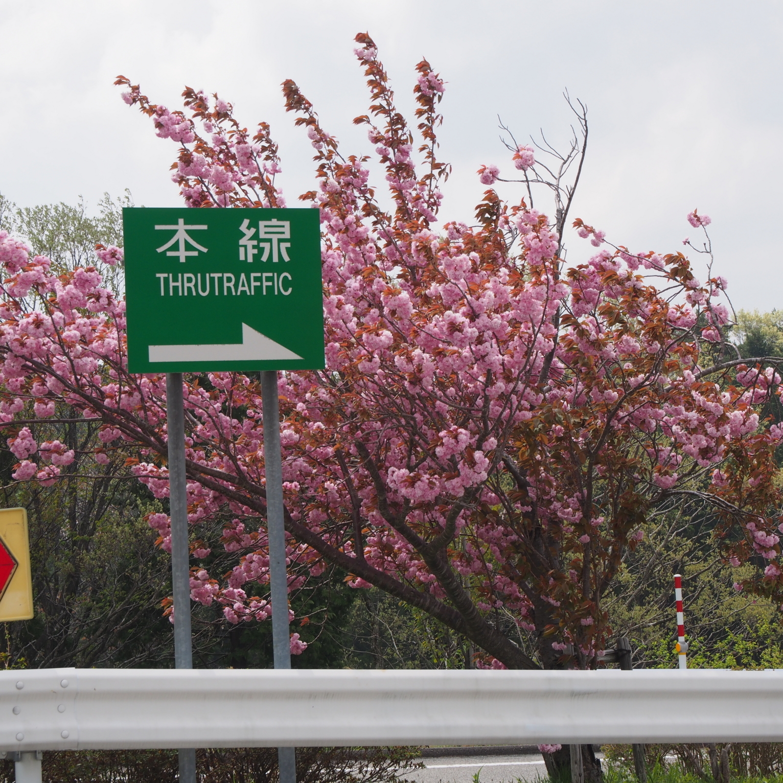 f:id:k10no3:20180428100009j:image:w640