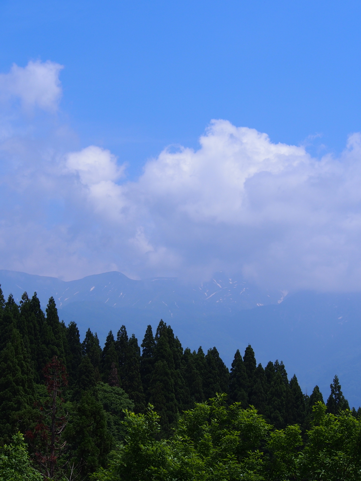 f:id:k10no3:20180609122802j:image:w640