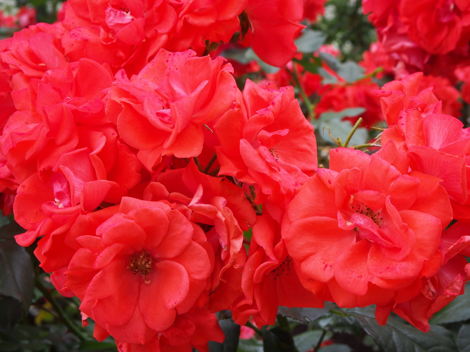 f:id:k10no3:20180610122359j:image:w640