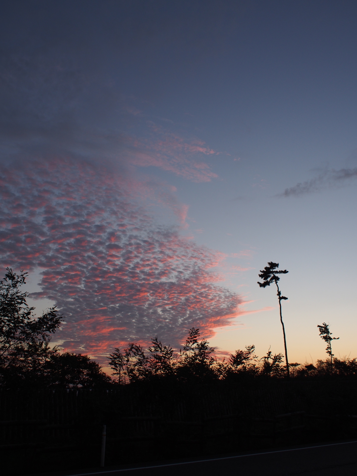 f:id:k10no3:20181008174524j:image:w640