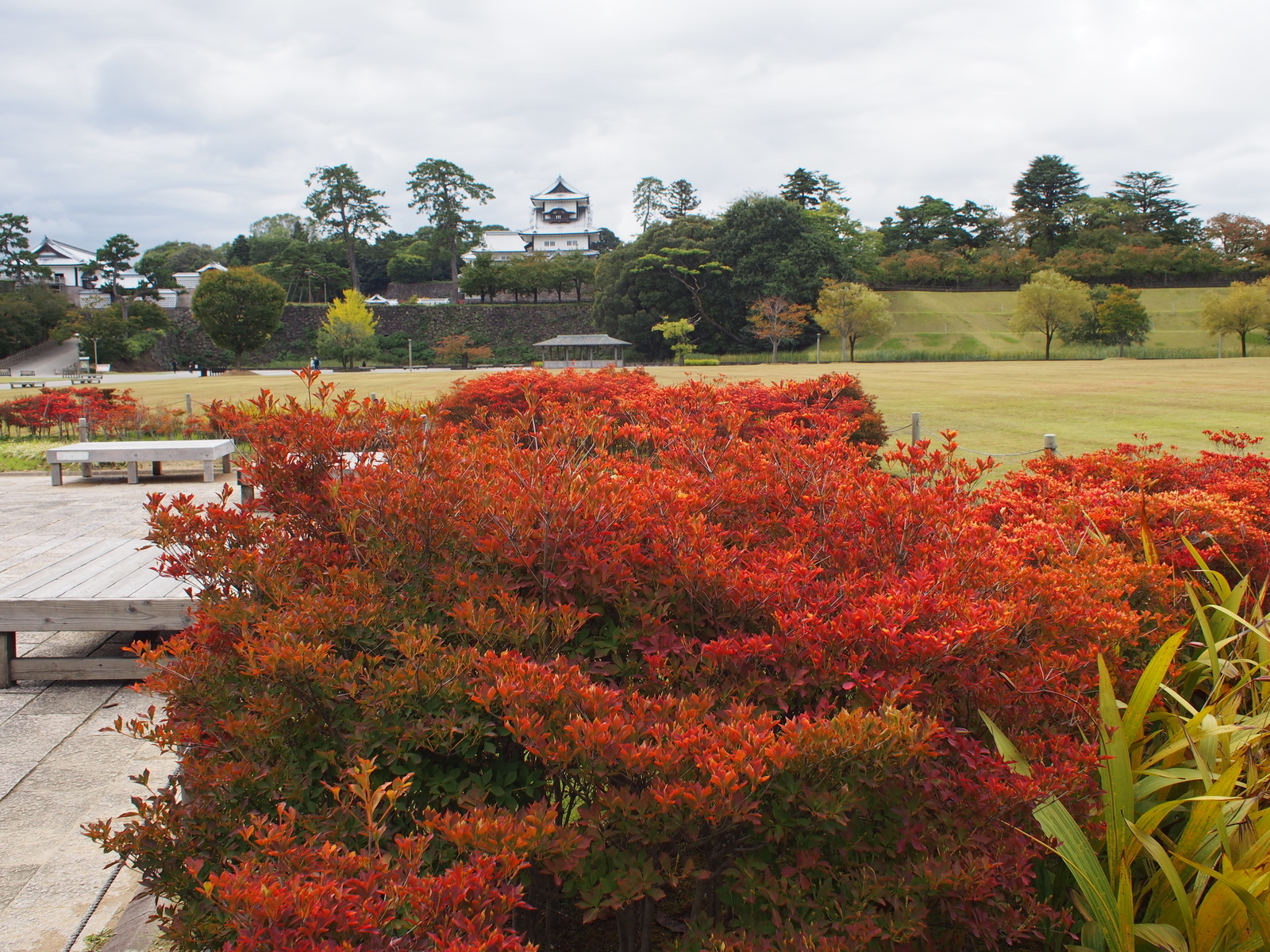 f:id:k10no3:20181020104530j:image:w640