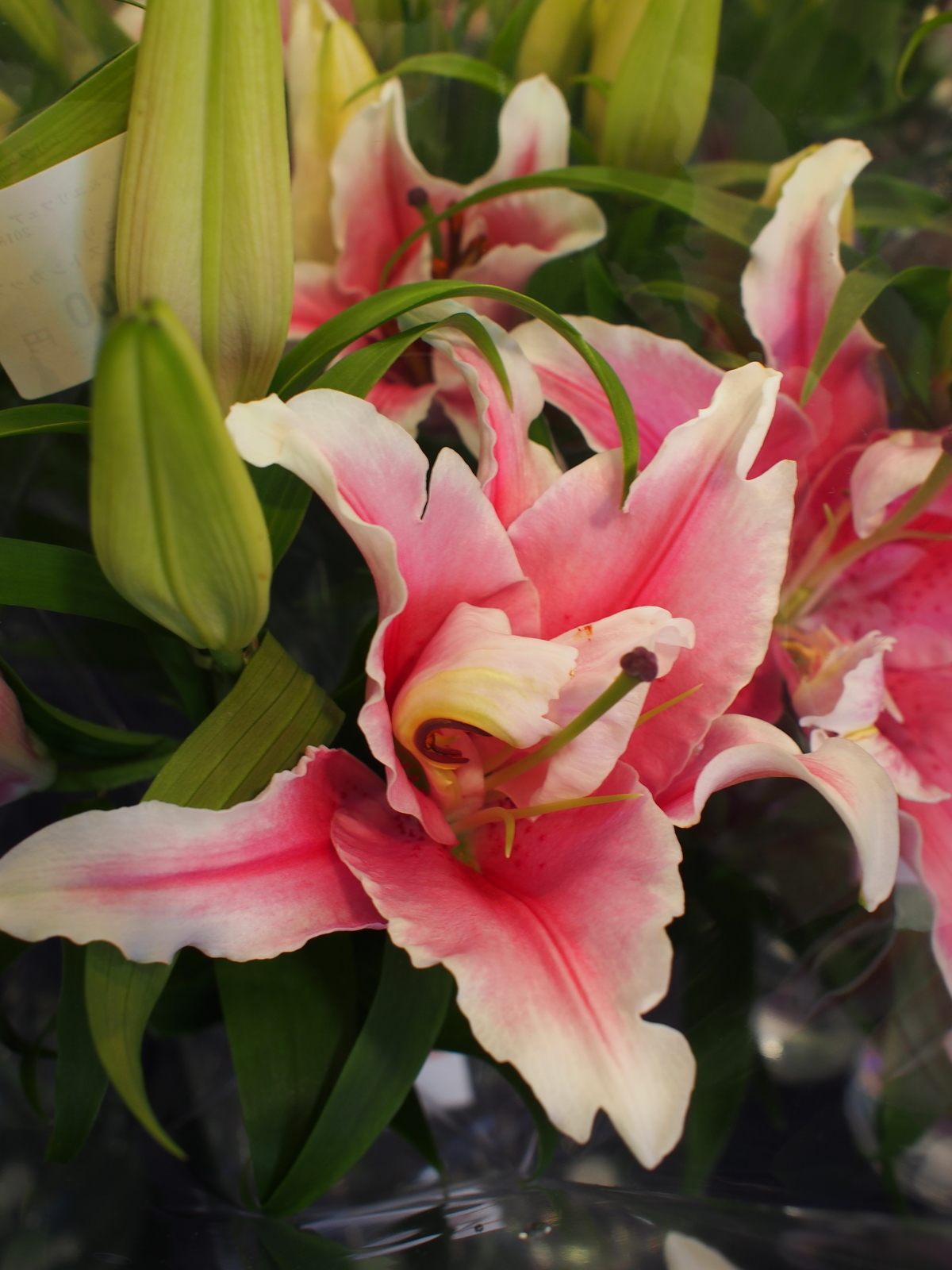 f:id:k10no3:20181021105131j:image:w640