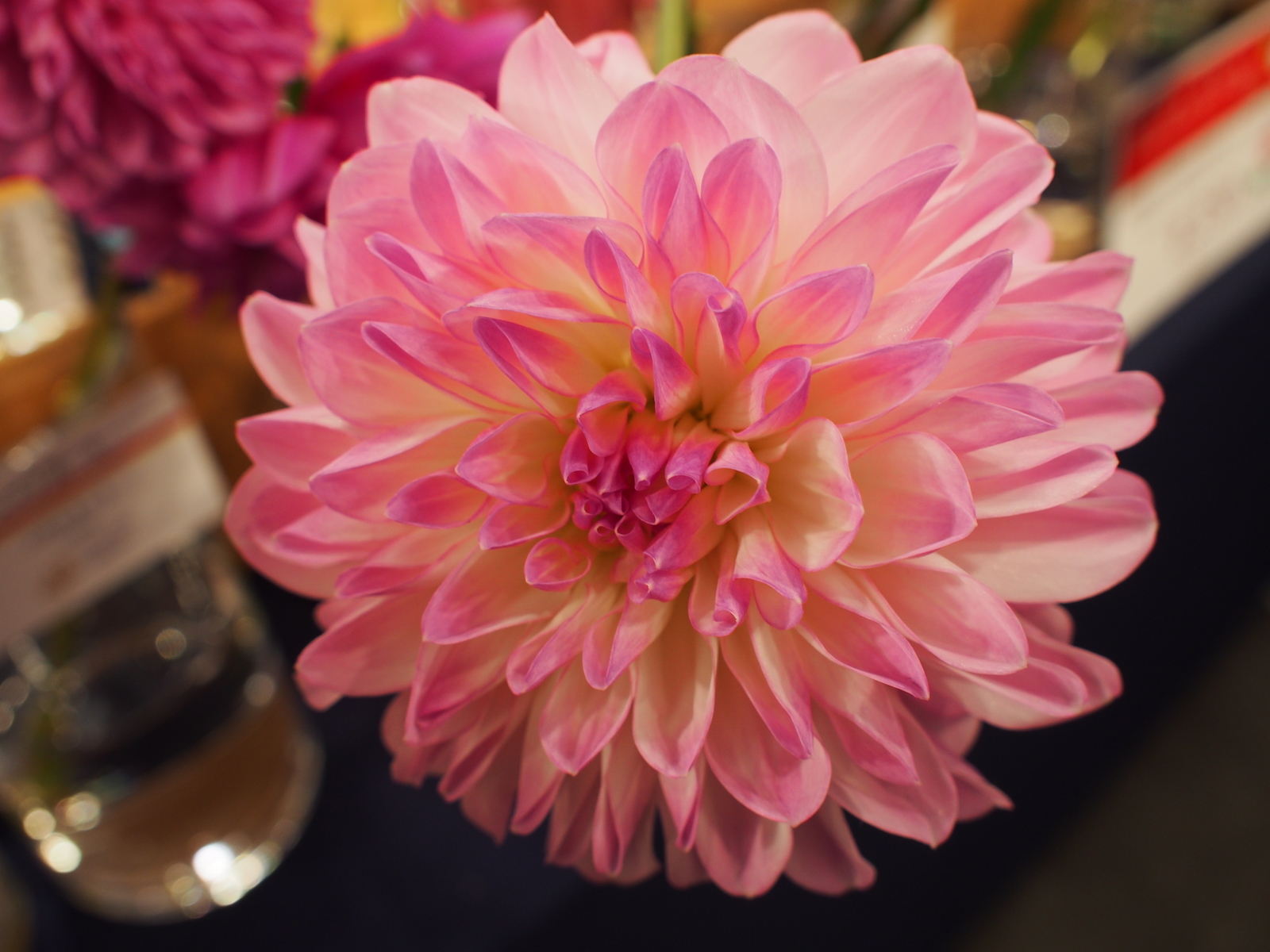 f:id:k10no3:20181021105622j:image:w318