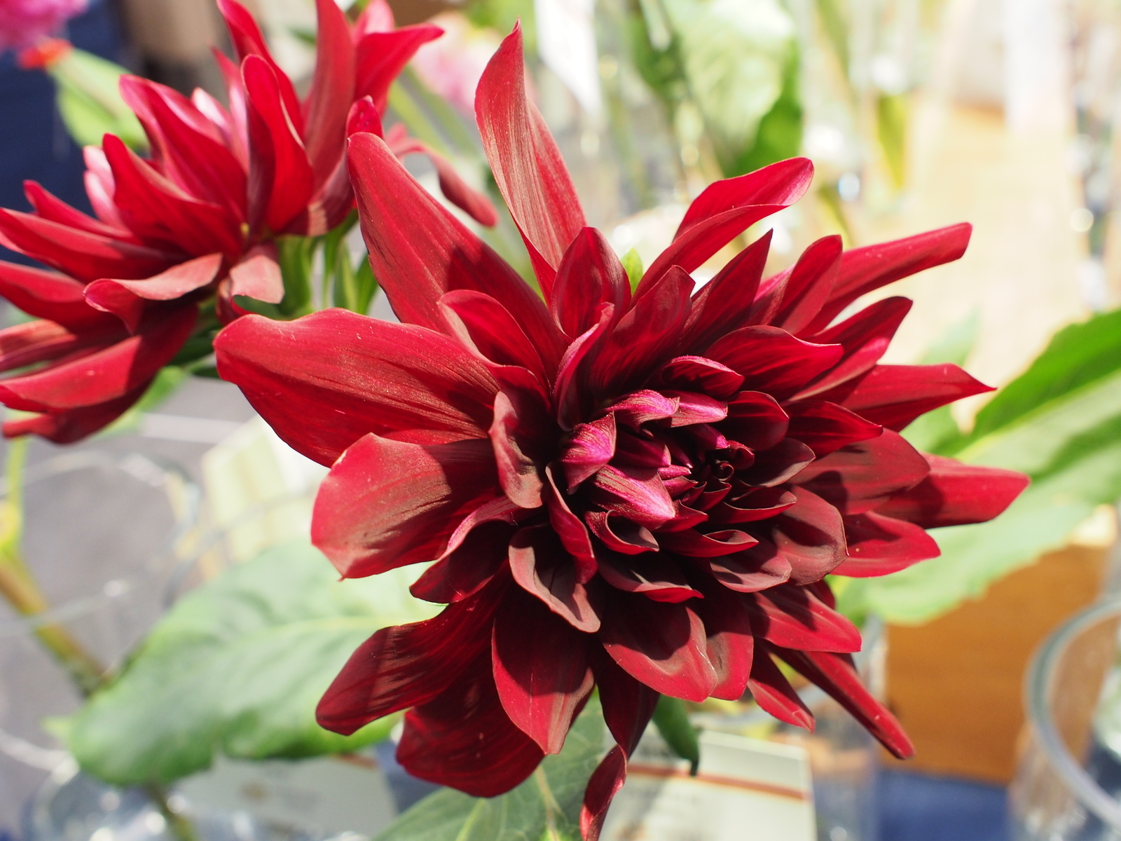 f:id:k10no3:20181021110005j:image:w318