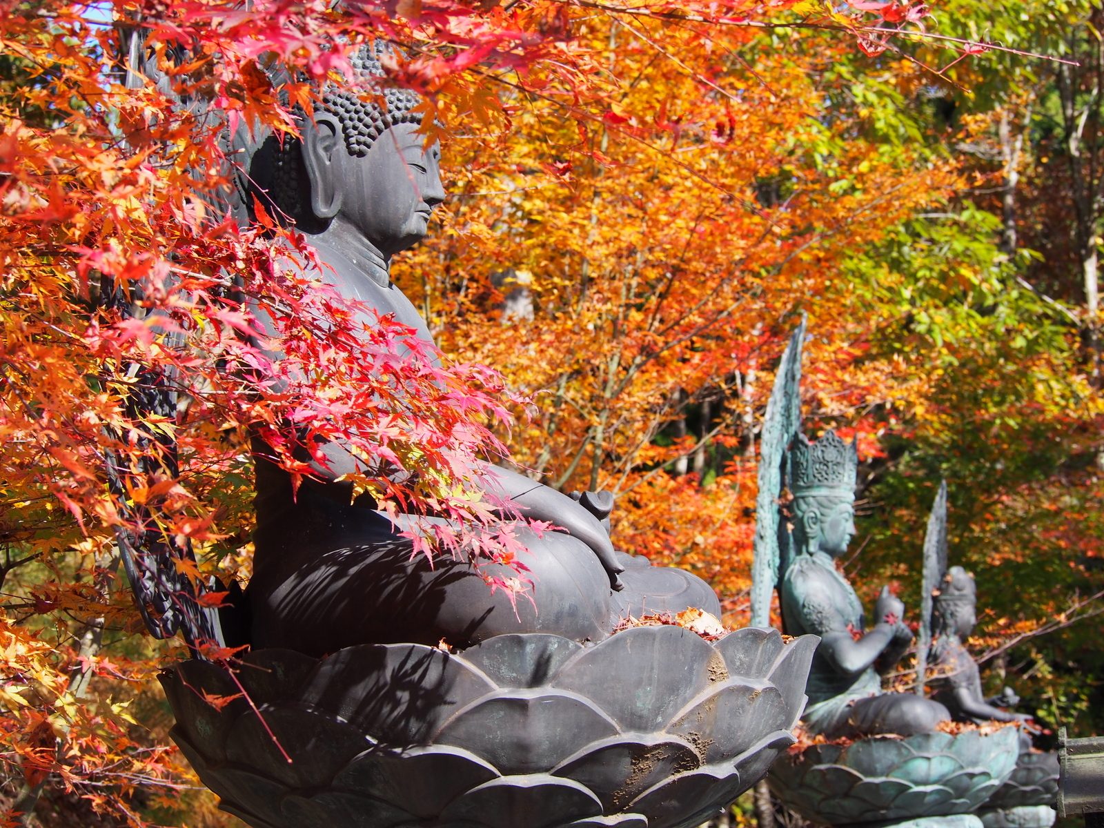 f:id:k10no3:20181110113049j:plain