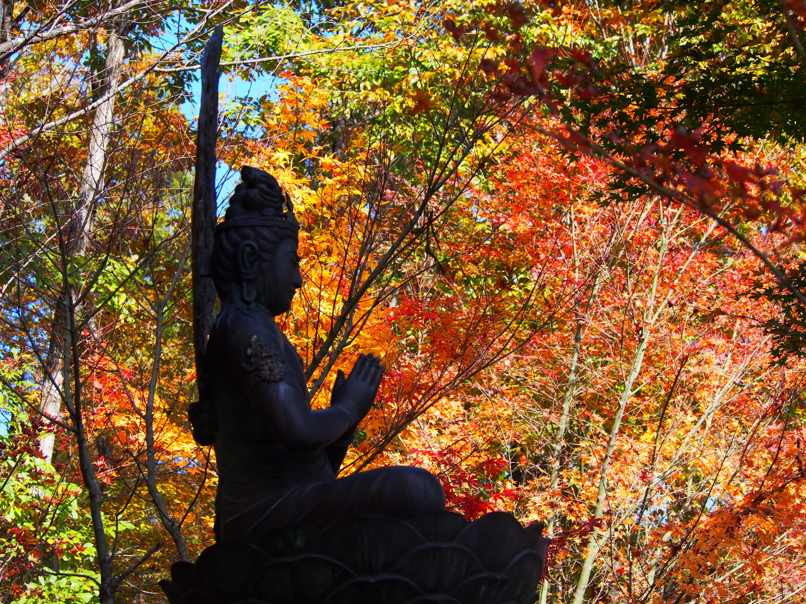 f:id:k10no3:20181110114136j:plain