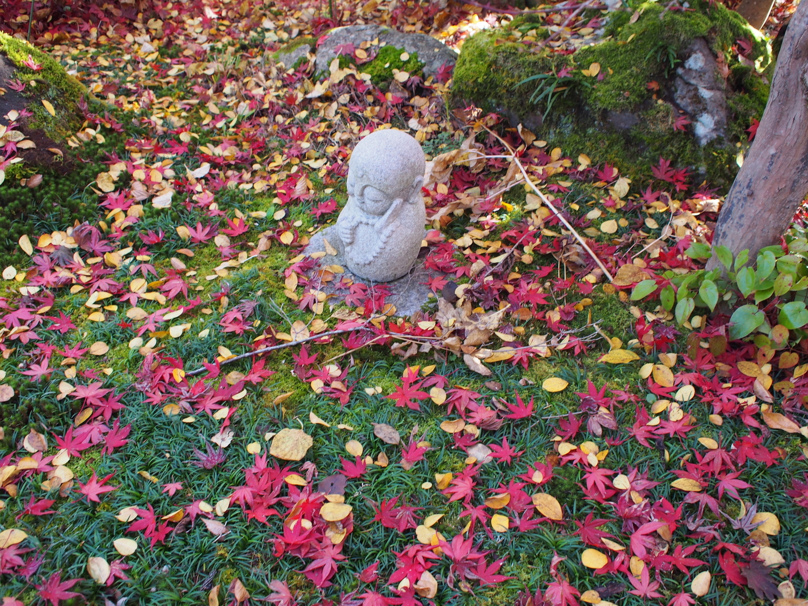 f:id:k10no3:20181110120638j:plain