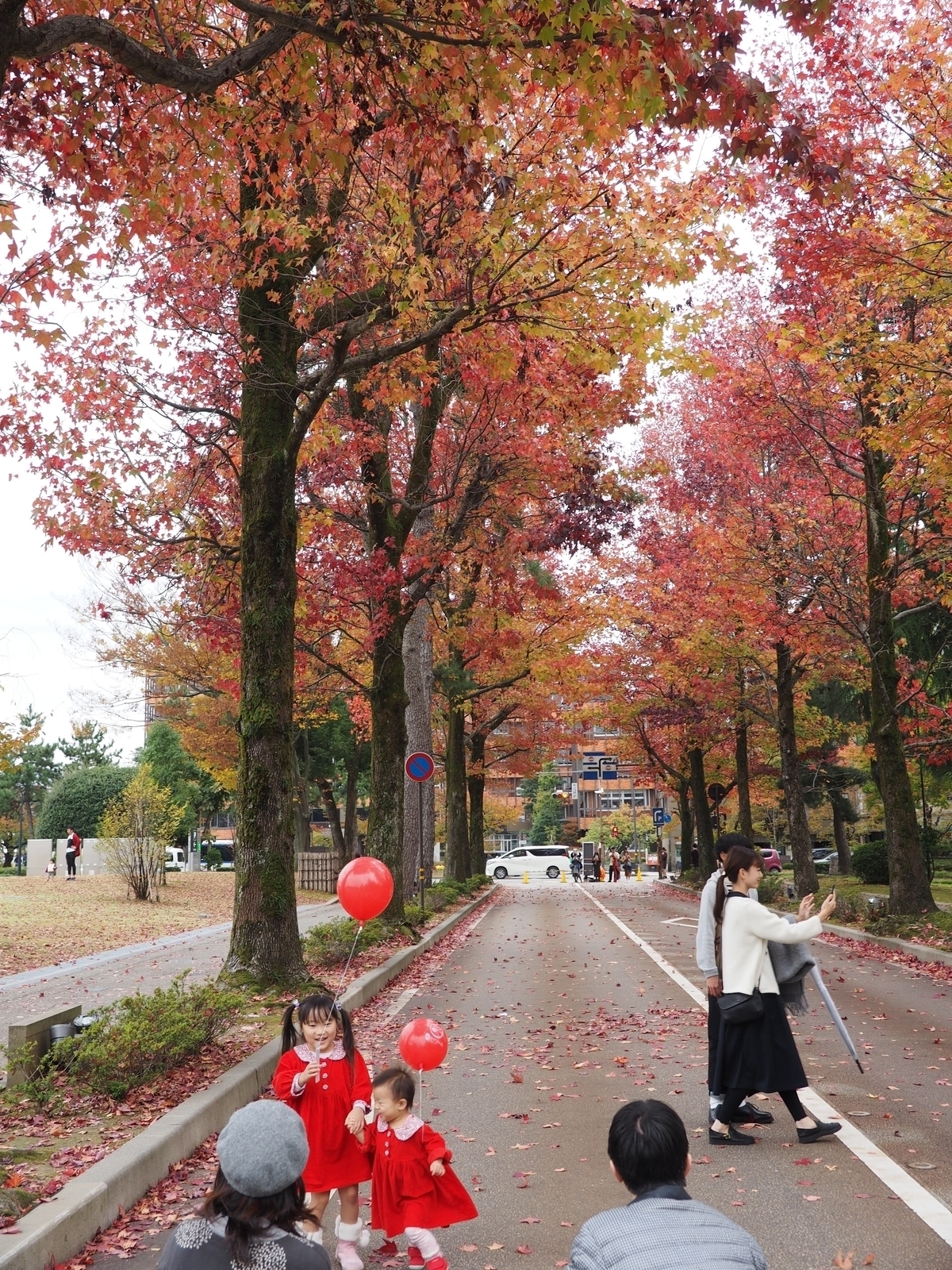 f:id:k10no3:20181112211210j:image:w318
