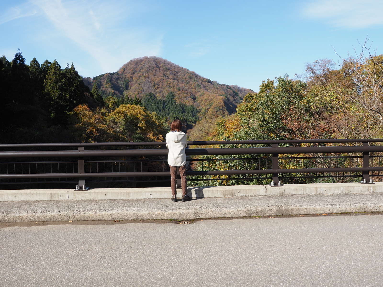f:id:k10no3:20181118111303j:plain