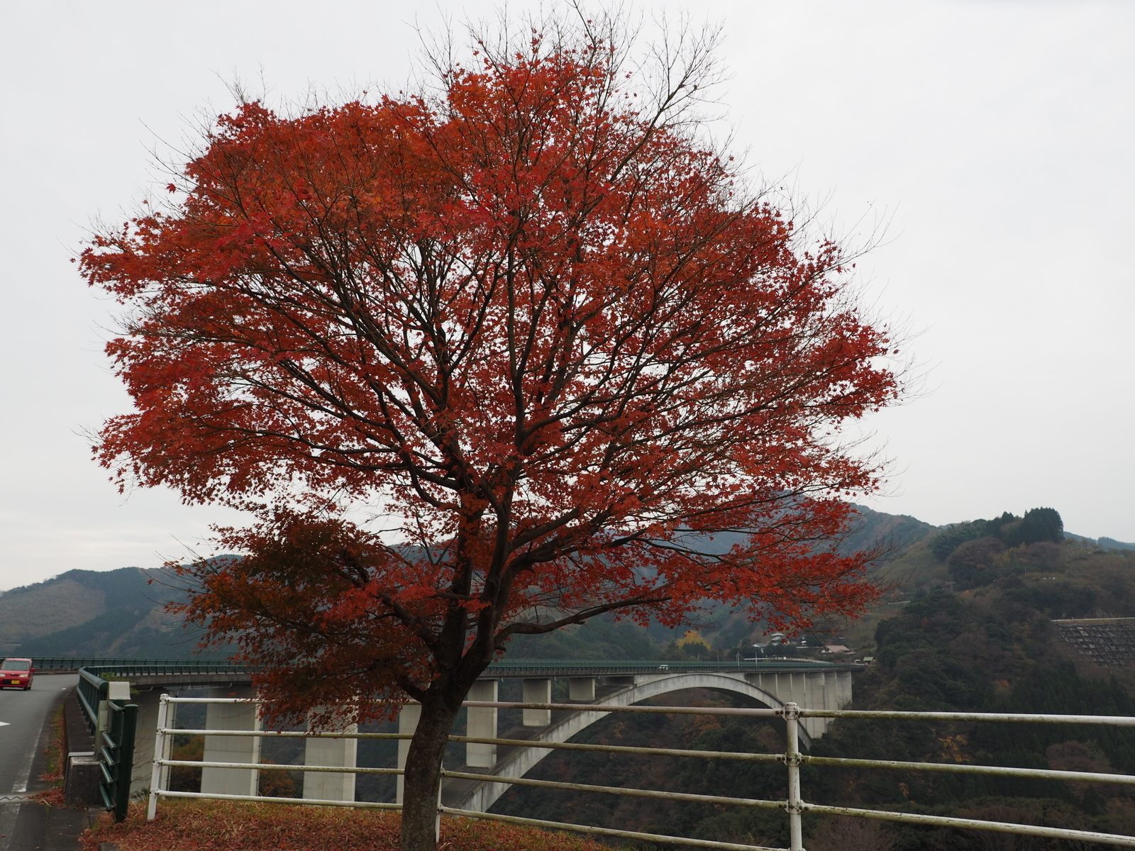 f:id:k10no3:20181126103446j:plain
