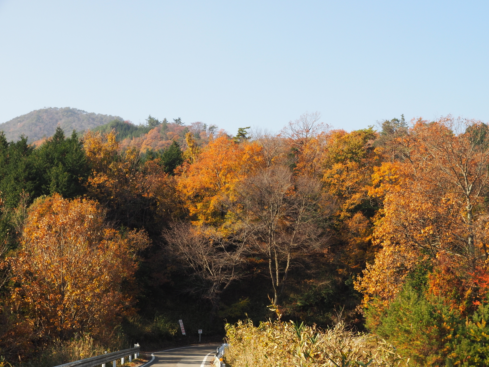 f:id:k10no3:20181127112642j:plain