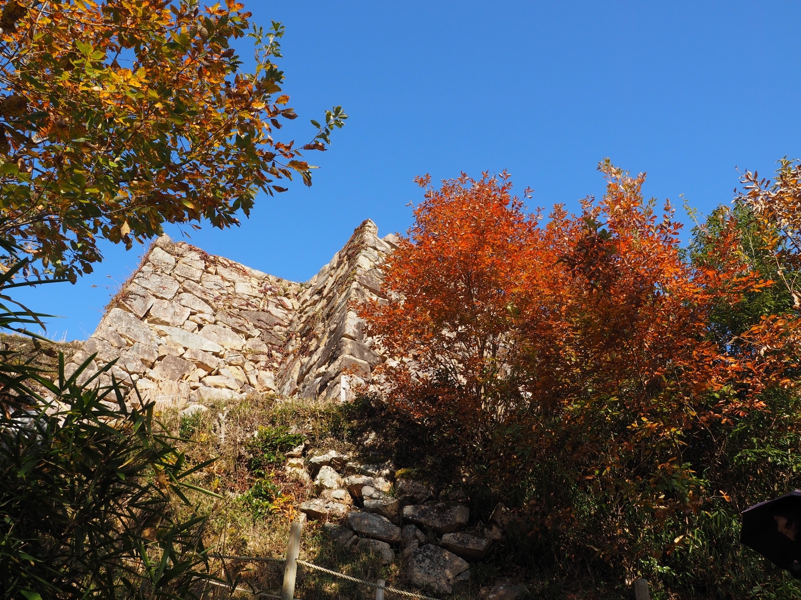 f:id:k10no3:20181130211449j:plain