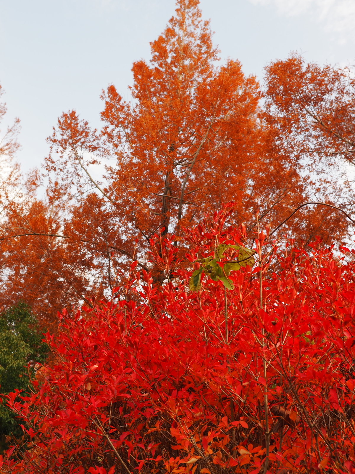 f:id:k10no3:20181201105134j:plain