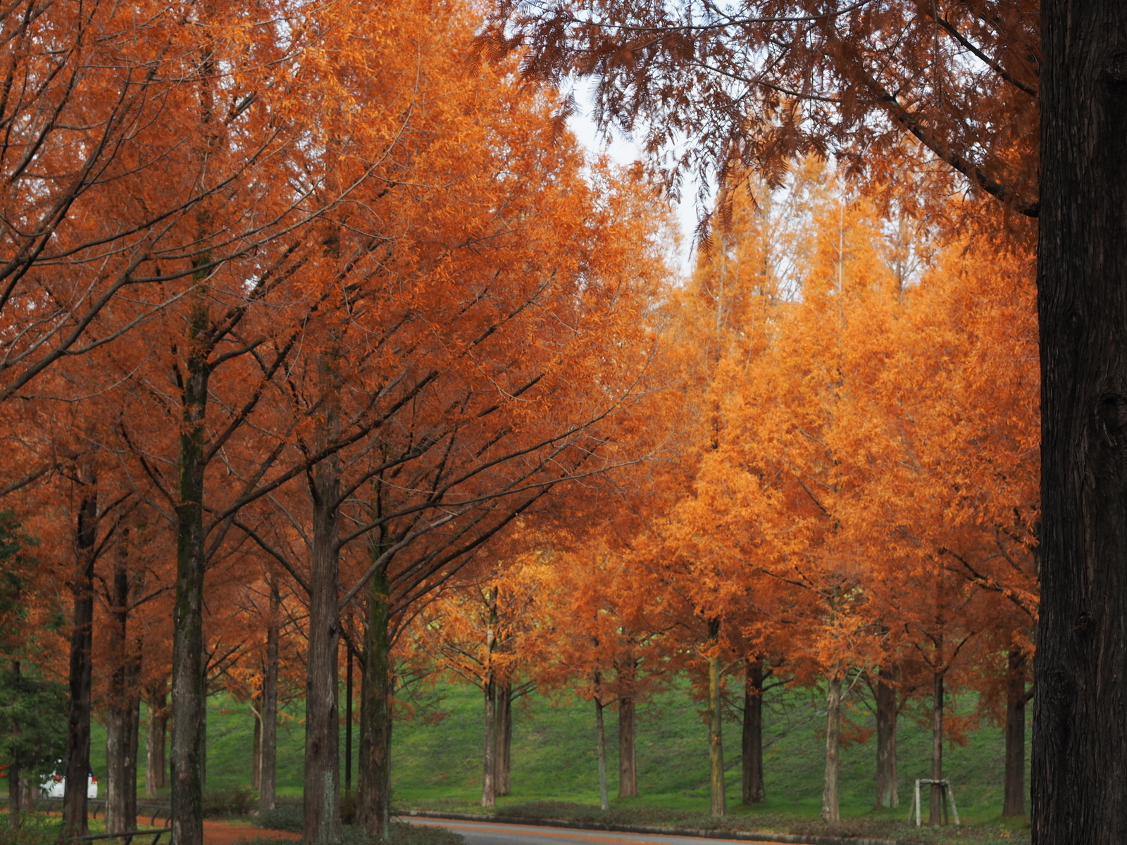 f:id:k10no3:20181201105959j:plain