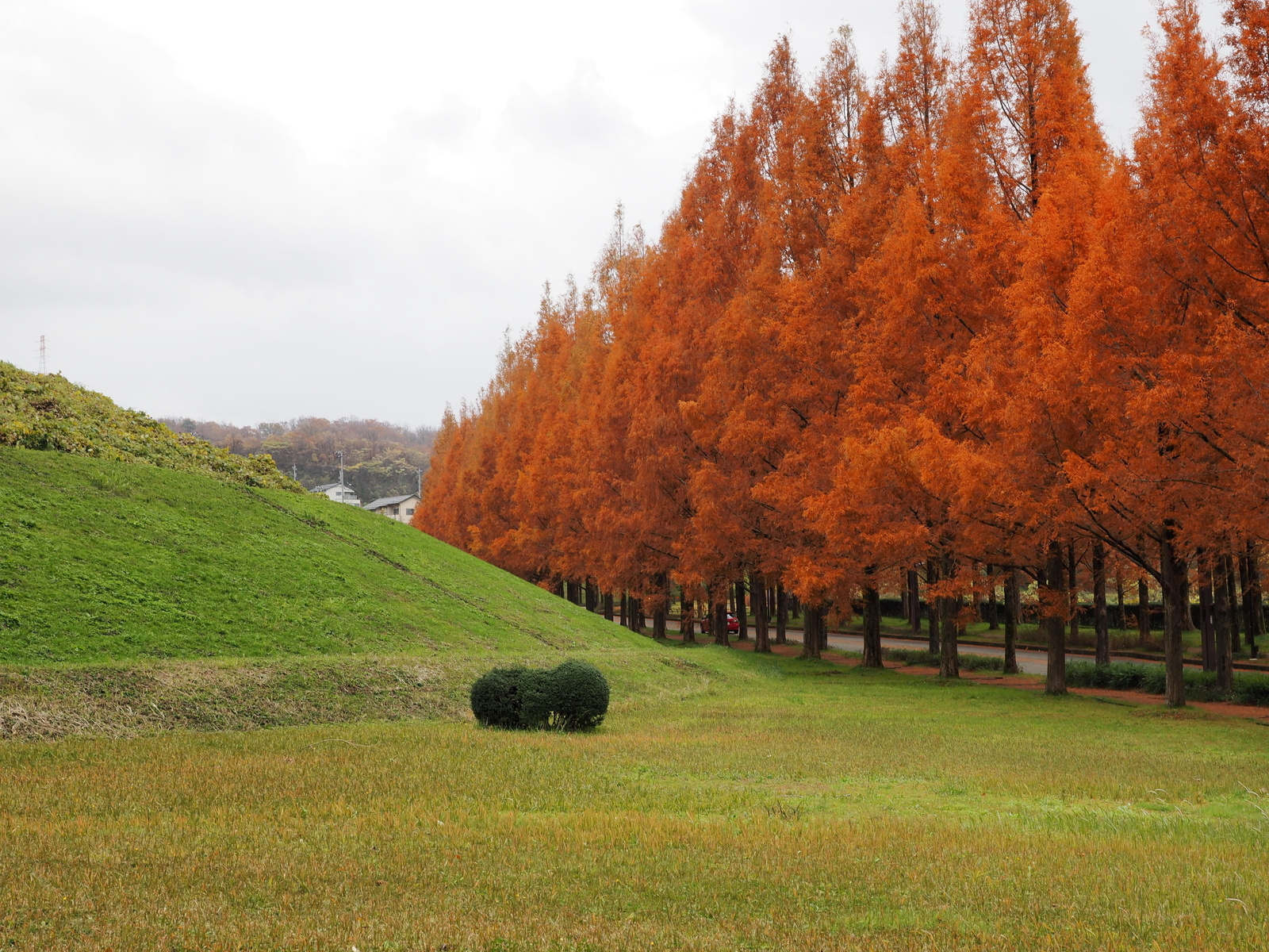 f:id:k10no3:20181201111531j:plain