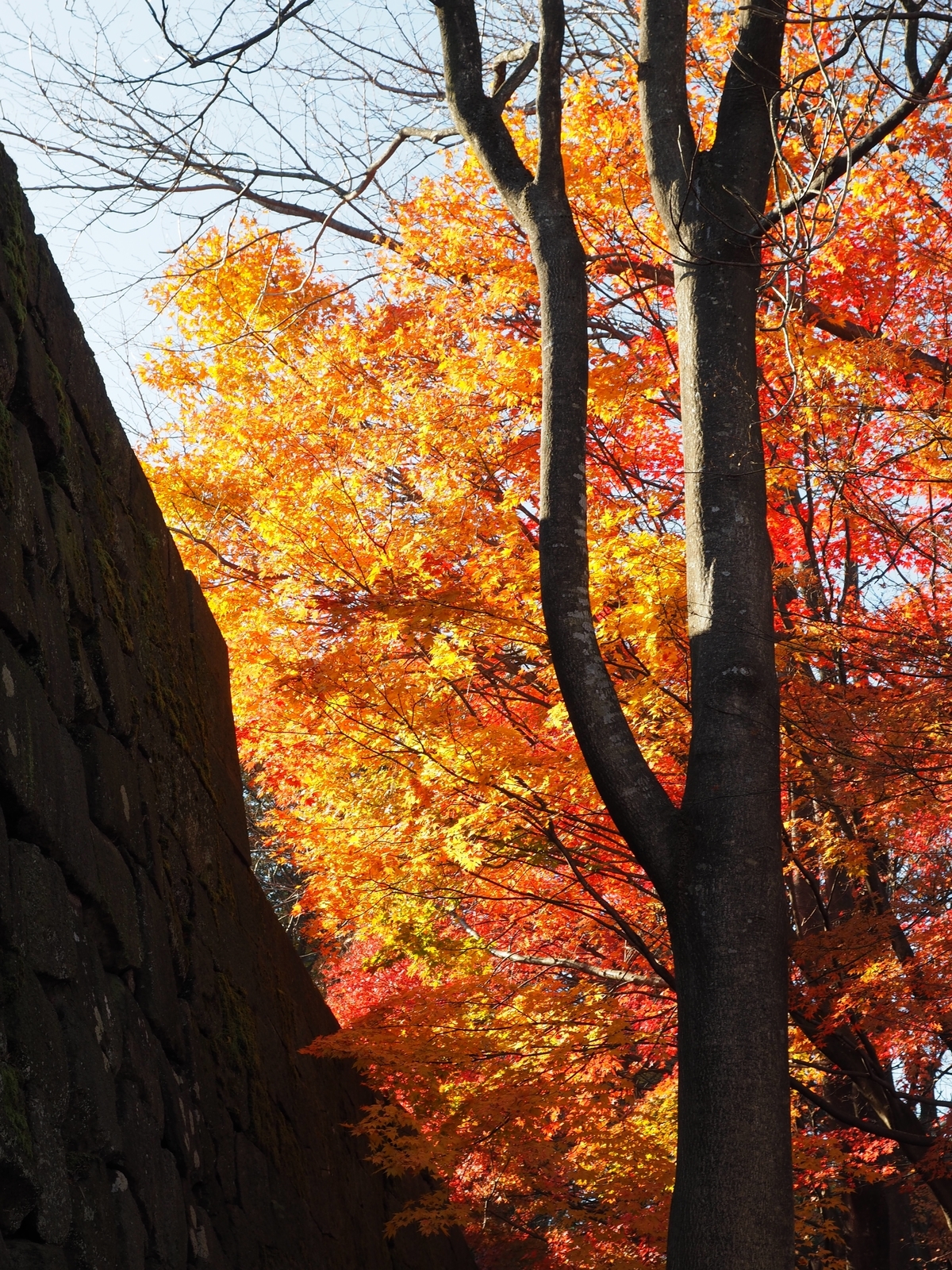 f:id:k10no3:20181212205907j:plain