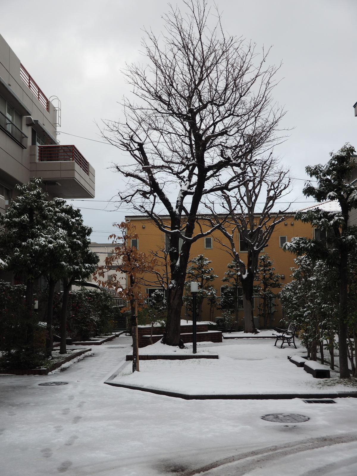 f:id:k10no3:20181230073428j:plain