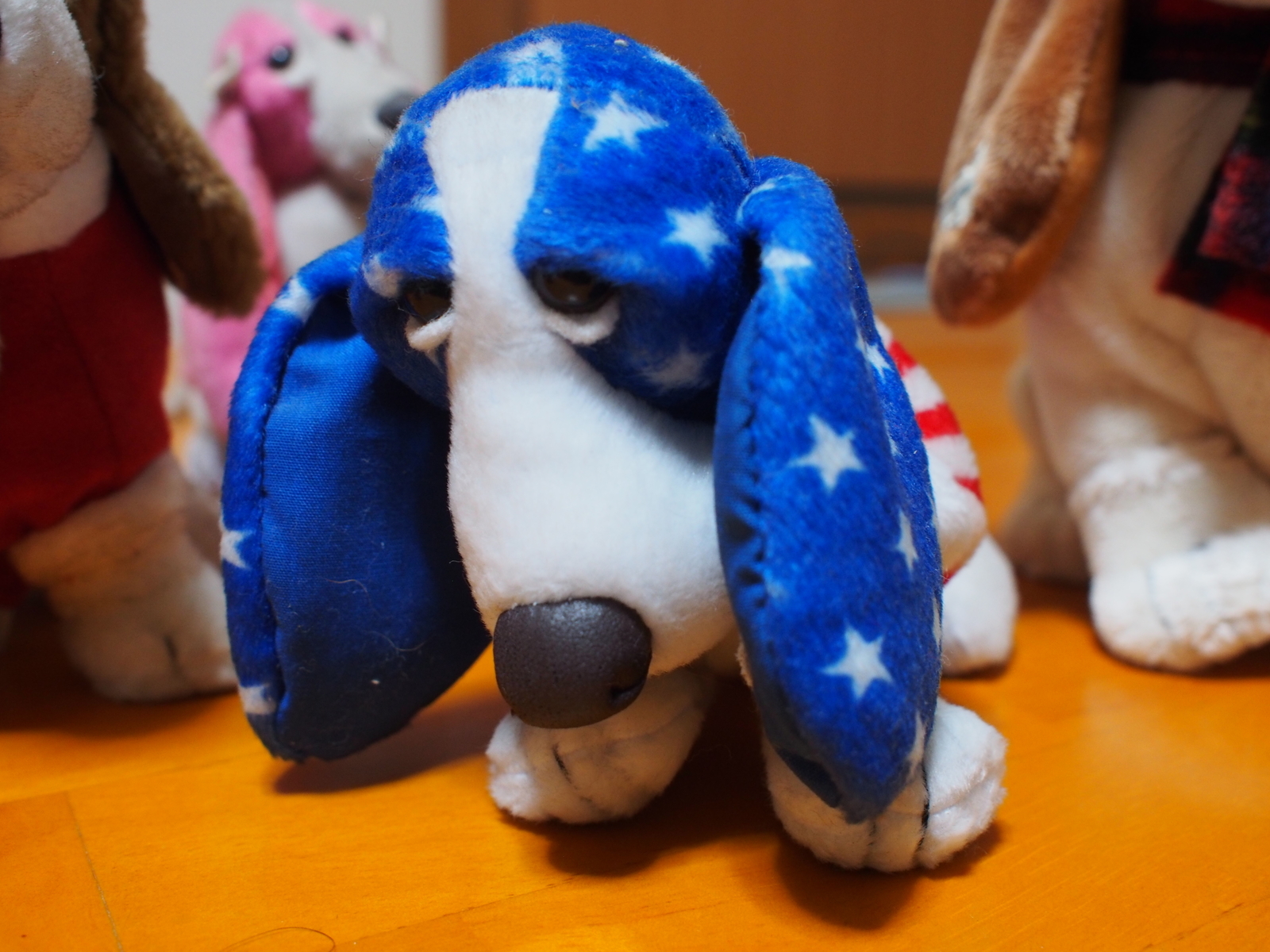 f:id:k10no3:20190124203653j:plain